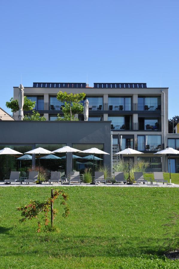 Traube Am Friedrichshafen
